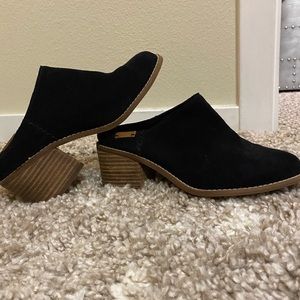 Toms mule